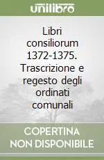 Professionale Libri consiliorum 1372-1375. Trascrizione e regesto degli ordinati comunali
