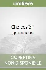 Super Prezzo Che cos‘è il gommone