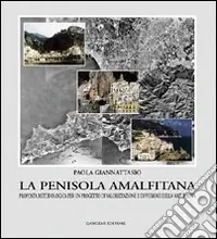 Le trasformazioni e il progetto urbano. Una metodologia operativa per una nuova dialettica tra piano e progetto Compra Online
