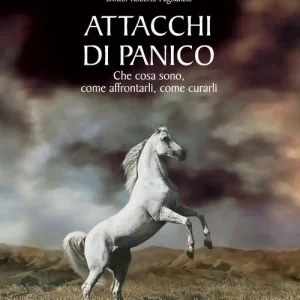 Offerta Limitata Attacchi di panico. Che cosa sono, come affrontarli, come curarli