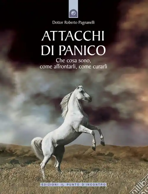 Offerta Limitata Attacchi di panico. Che cosa sono, come affrontarli, come curarli