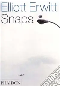 Solo Oggi Snaps. Ediz. inglese