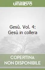 Professionale Gesù. Vol. 4 Gesù in collera