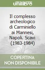 Il complesso archeologico di Carminiello ai Mannesi, Napoli. Scavi (1983-1984) Occasione