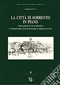 Vendita Finale La città di Sorrento in piano. Trattazione di alcuni rilievi e metodo deduttivo per datare il disegno antico
