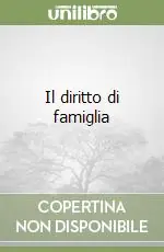 Più Venduto Il diritto di famiglia