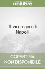 Il viceregno di Napoli A Buon Prezzo