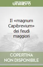 Scelto Dai Clienti Il «magnum Capibrevium» dei feudi maggiori