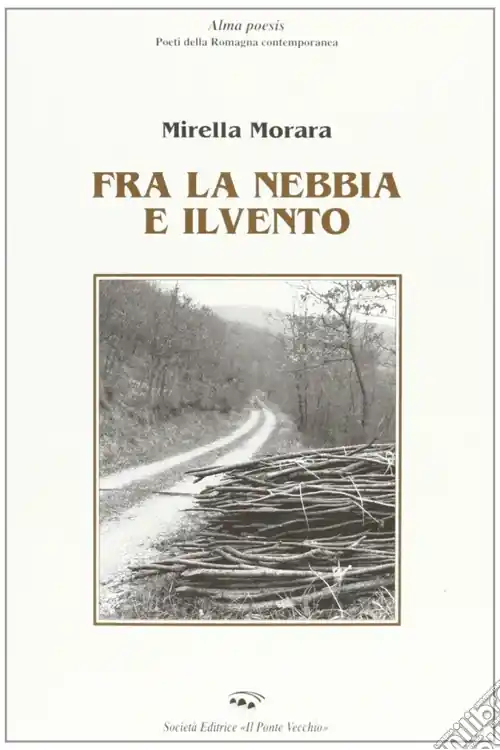 Fra la nebbia e il vento Professionale
