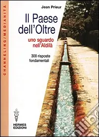Il paese dell‘oltre. Uno sguardo nell‘Aldilà. 300 risposte fondamentali Prezzo Basso