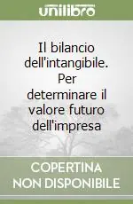 Il bilancio dell‘intangibile. Per determinare il valore futuro dell‘impresa Prezzo Di Fabbrica