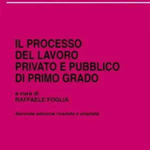 Il processo del lavoro privato e pubblico di primo grado Compra Oggi Stesso