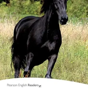 Prezzo Ridotto Black beauty. Level 2. Con espansione online. Con CD-Audio