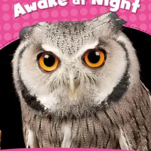 Ultimissimo Modello Awake at night. Level 2. Con espansione online