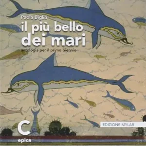 Il più bello dei mari. Vol. C. Didatsore. Ediz. mylab. Per le Scuole superiori. Con e-book. Con espansione online vol. 3 Miglior Prezzo