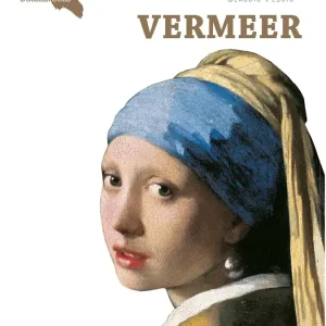 Vermeer Occasione Imperdibile