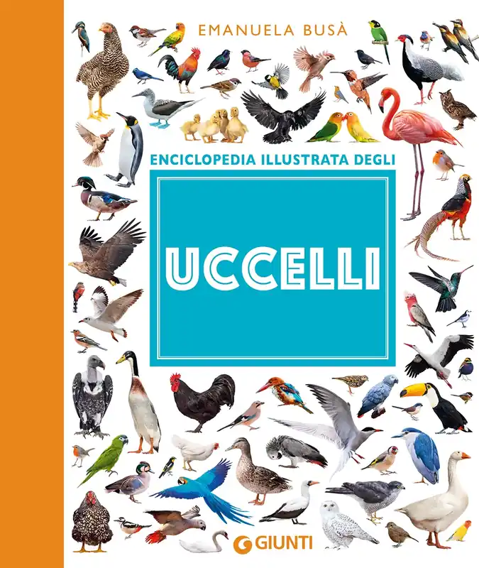 Offerta Del Giorno Uccelli
