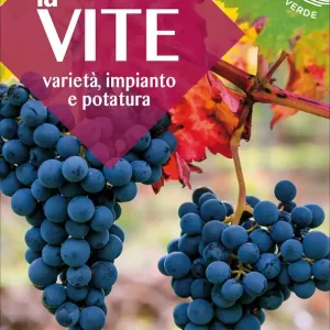 Bestseller La vite Varietà, impianto e potatura