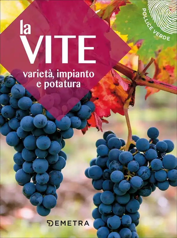 Bestseller La vite Varietà, impianto e potatura