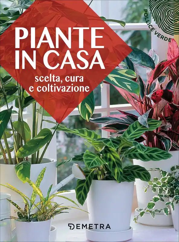 Piante in casa Scelta, cura e coltivazione Esclusivo