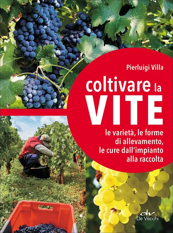 Compra Oggi Stesso Coltivare la vite Le varietà, le forme di allevamento, le cure dall‘impianto alla raccolta