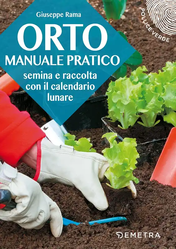 Solo Oggi Orto manuale pratico Semina e raccolta con il calendario lunare