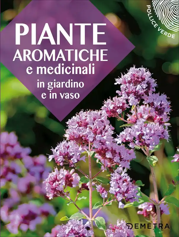 Esclusivo Piante aromatiche e medicinali In giardino e in vaso