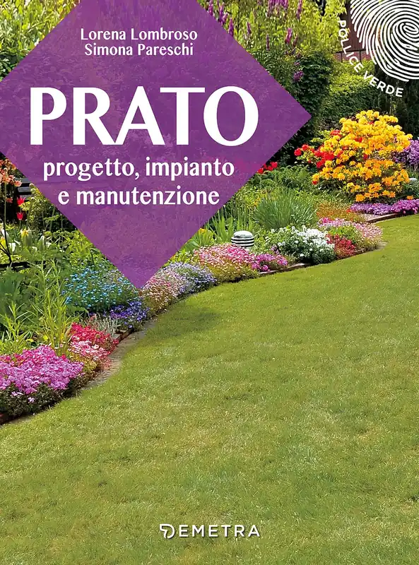 Il prato Progetto, impianto e manutenzione Offerta Limitata