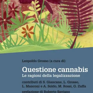 Questione cannabis Le ragioni della legalizzazione Offerta