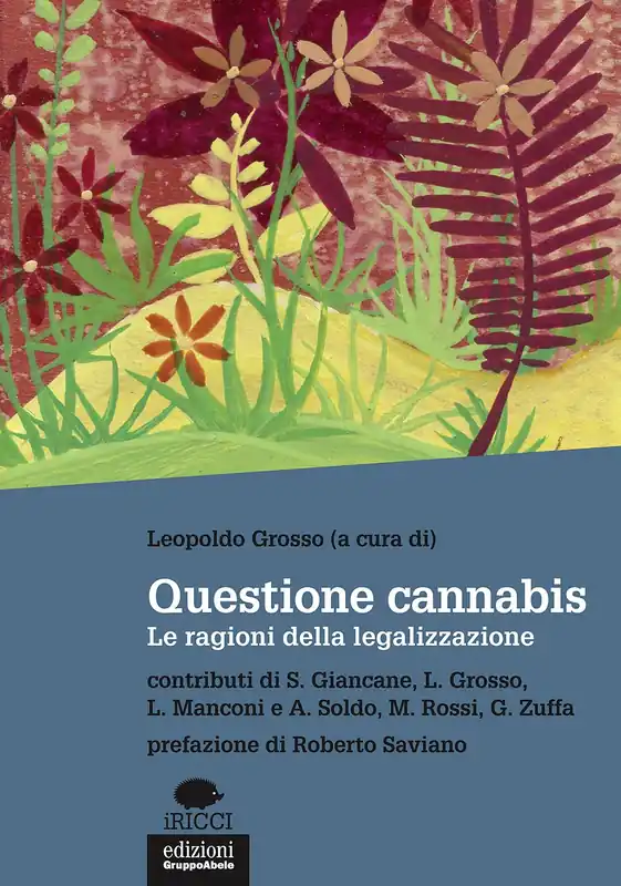 Questione cannabis Le ragioni della legalizzazione Offerta