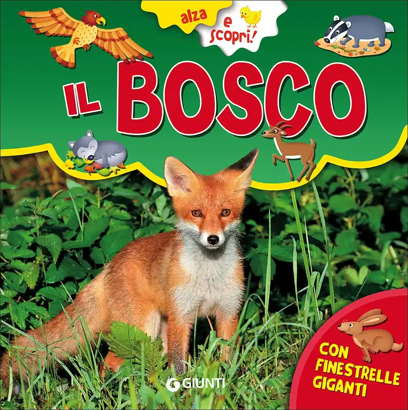 Professionale Il Bosco Con finestrelle giganti