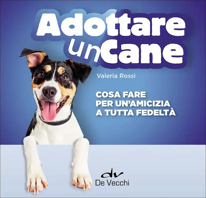 Nuovo Arrivo Adottare un cane Cosa fare per un‘amicizia a tutta fedeltà