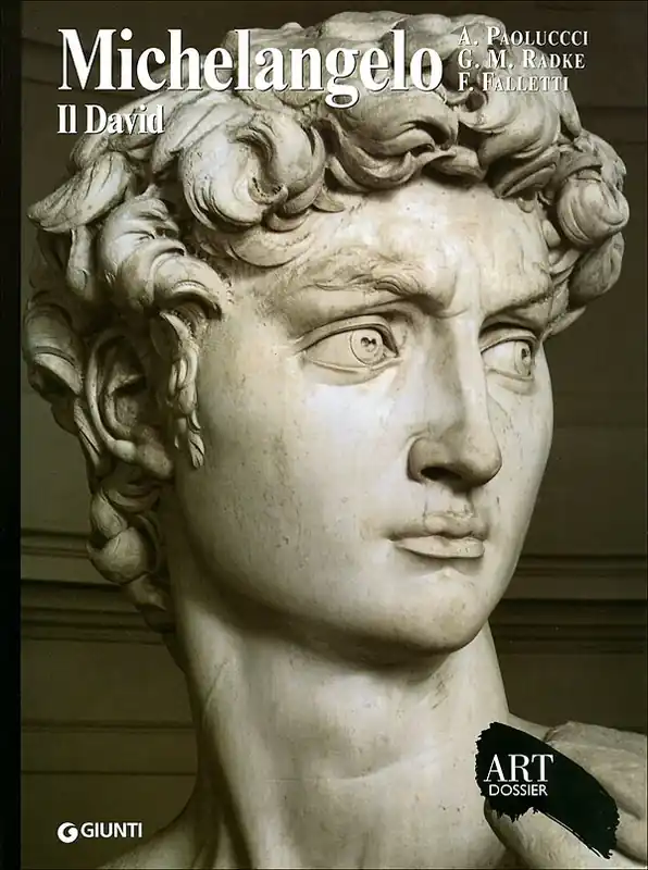 Occasione Imperdibile Michelangelo. Il David