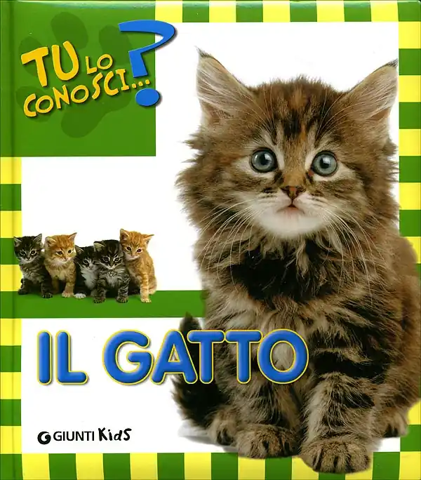 Il Gatto Prezzo Ridotto
