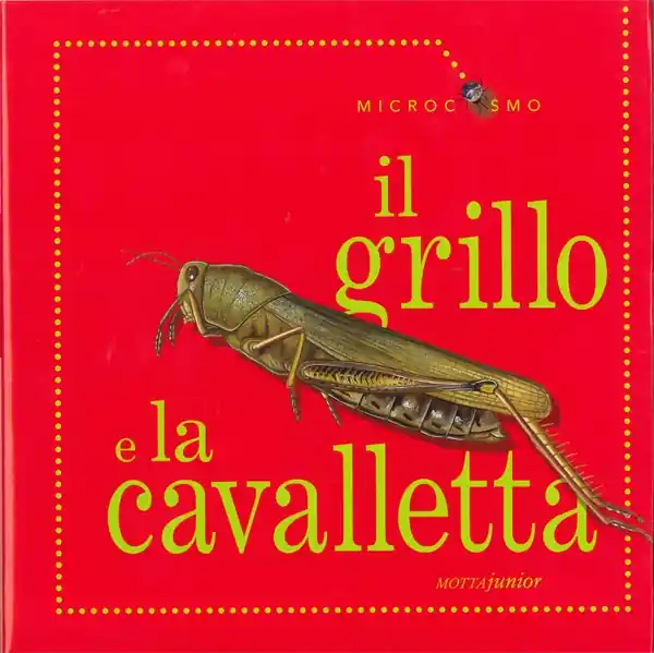 Il grillo e la cavalletta Prezzo Ridotto