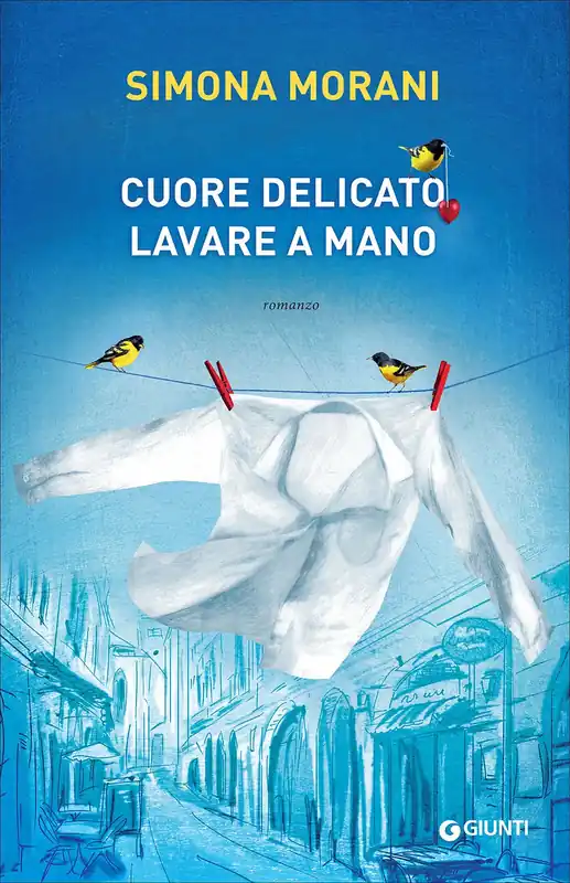 Miglior Prezzo Cuore delicato, lavare a mano