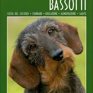 A Buon Prezzo Bassotti Scelta del cucciolo - Standard - Educazione - Alimentazione - Salute