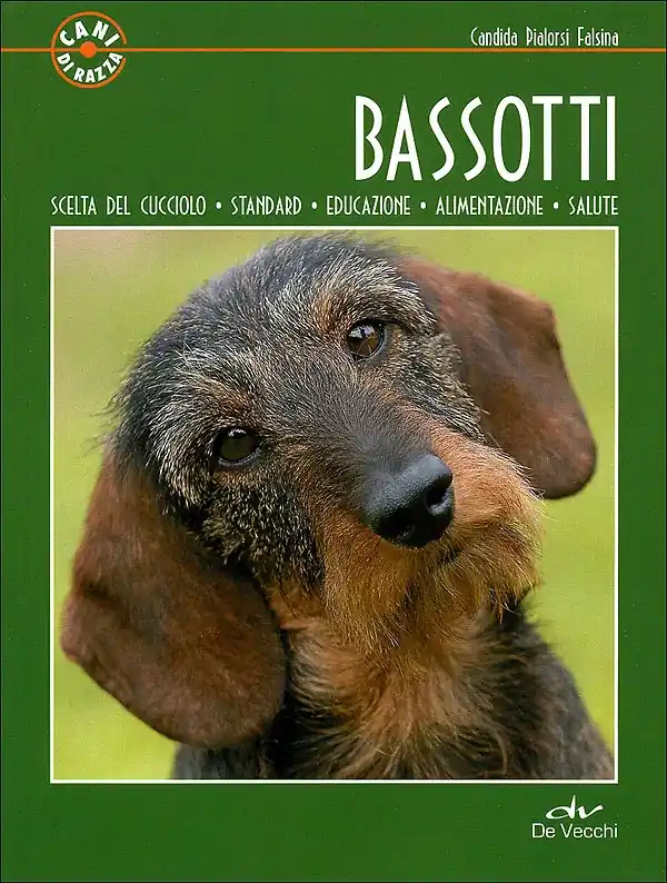 A Buon Prezzo Bassotti Scelta del cucciolo - Standard - Educazione - Alimentazione - Salute