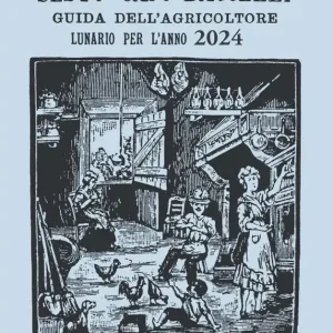 Spedito Oggi Il vero Sesto Cajo Baccelli 2024