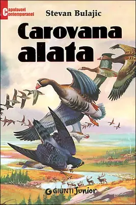 Must-Have Carovana Alata