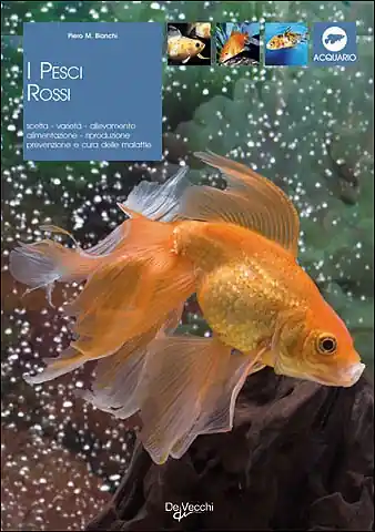 I pesci rossi Scelta, varietà, allevamento, alimentazione, riproduzione, prevenzioe e cura delle malattie Prezzo Di Fabbrica