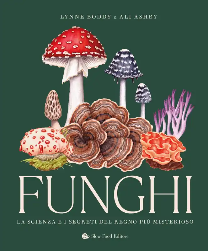 FUNGHI LA SCIENZA E I SEGRETI DEL REGNO PIU‘ MISTERIOSO Novità