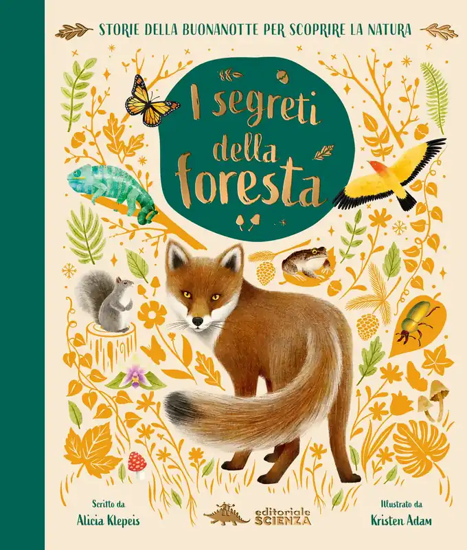 Promozione Esclusiva I segreti della foresta Storie della buonanotte per scoprire la natura
