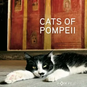CATS OF POMPEII Esclusivo