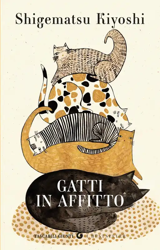 Gatti in affitto Non Perdere